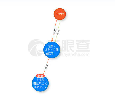 起底王思聰投資神話 吹出來的泡沫？